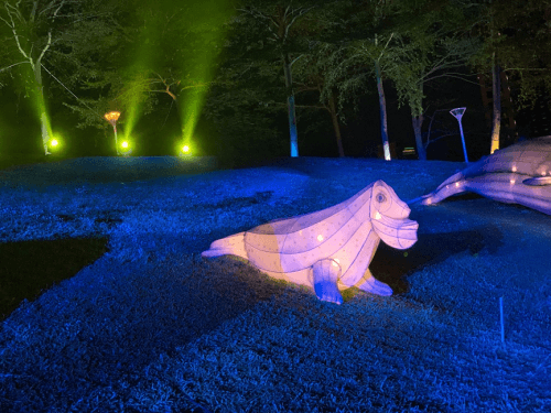 台中燈會-戽斗星球-南屯牙醫推薦png